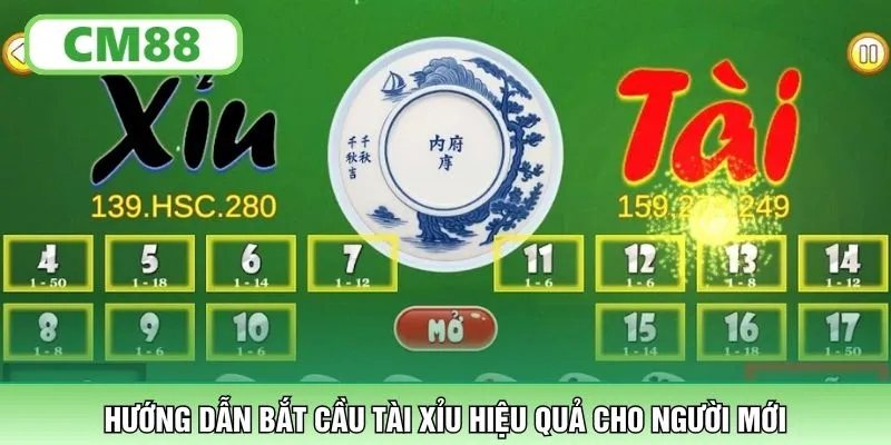 Hướng dẫn bắt cầu Tài Xỉu hiệu quả cho người mới